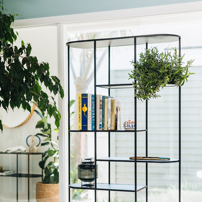 DECO Display/Bookcase Black Oak