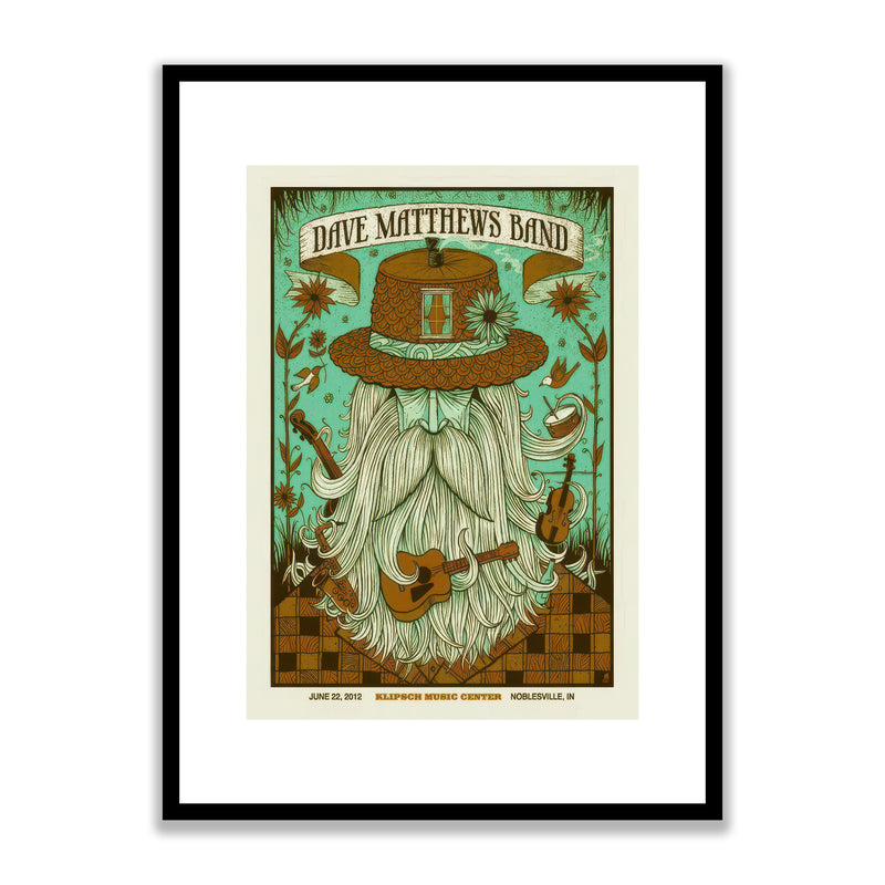 Dave Matthews Band Framed Print