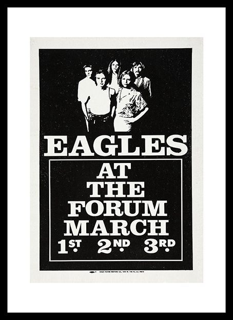 Eagles Framed Print