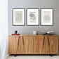 Matisse Sage Green set of Framed Prints