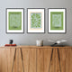 Matisse Flora Green Set of Framed Prints