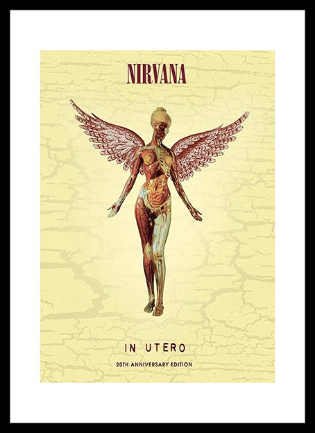 Nirvana In Utero Framed Print