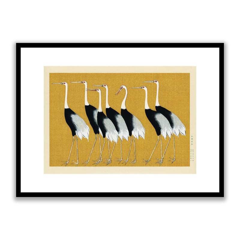 Beautiful Japanese Red Crown Crane by Ogata Korin (1658-1716) Framed Print