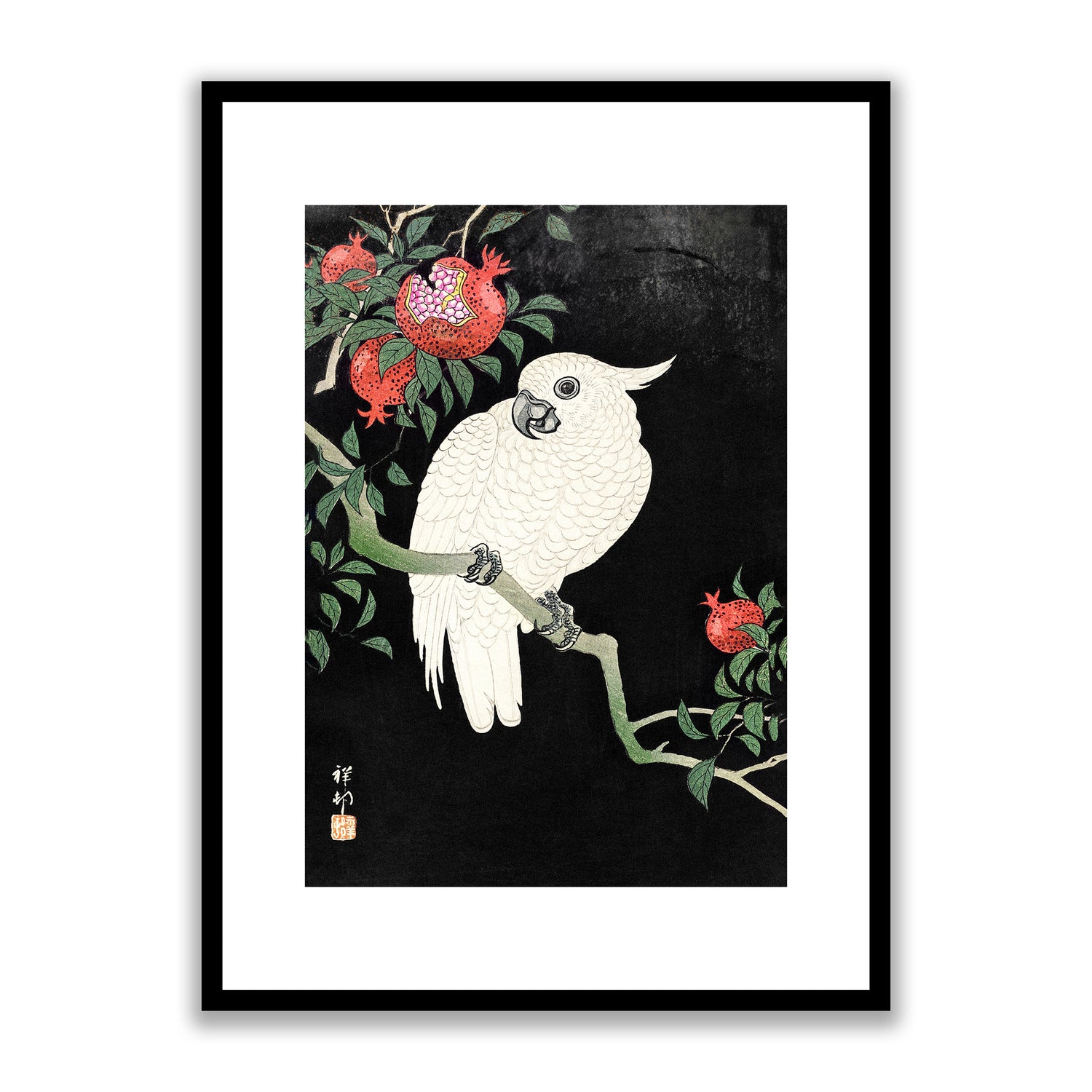 Cockatoo and Pomegranate Framed Print