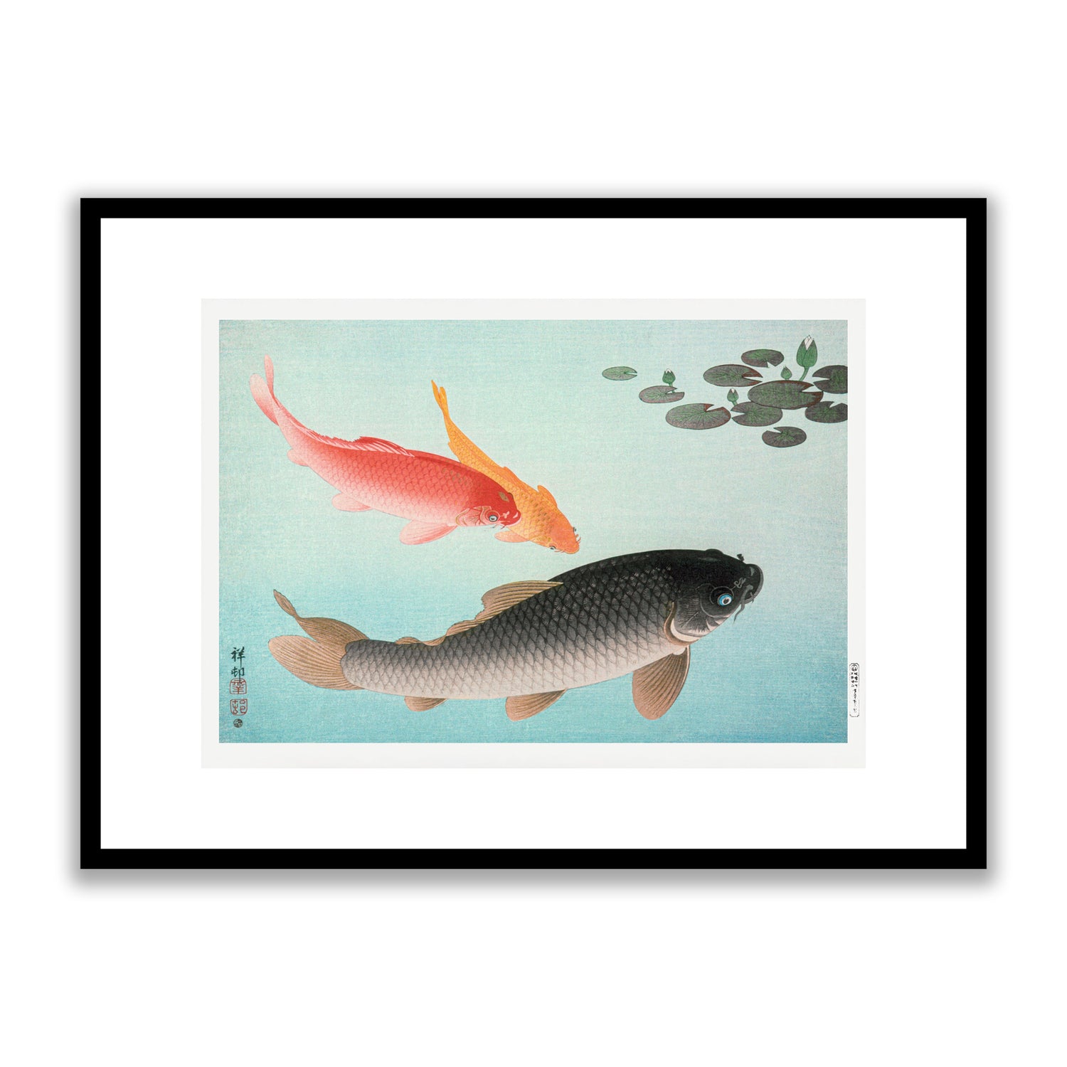 Common and Golden Carp 1953 by Ohara Koson Framed Print