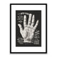 Open Hand Palm Reading