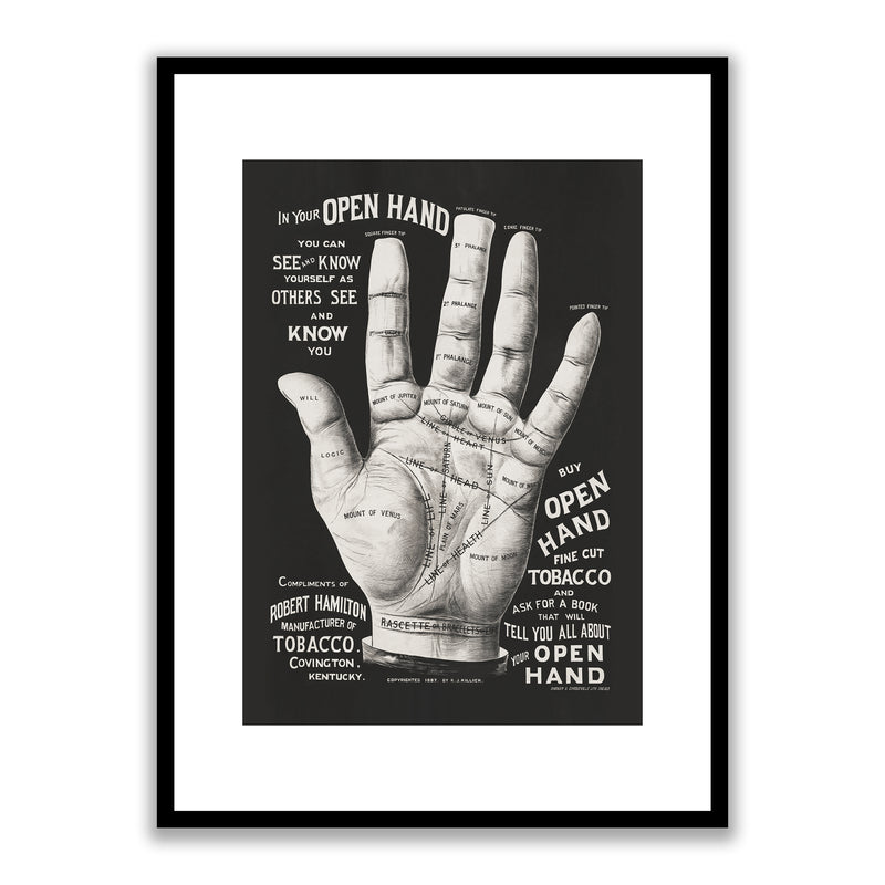 Open Hand Palm Reading