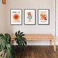 Matisse Harring Bauhaus Orange Set of 3 Framed Prints