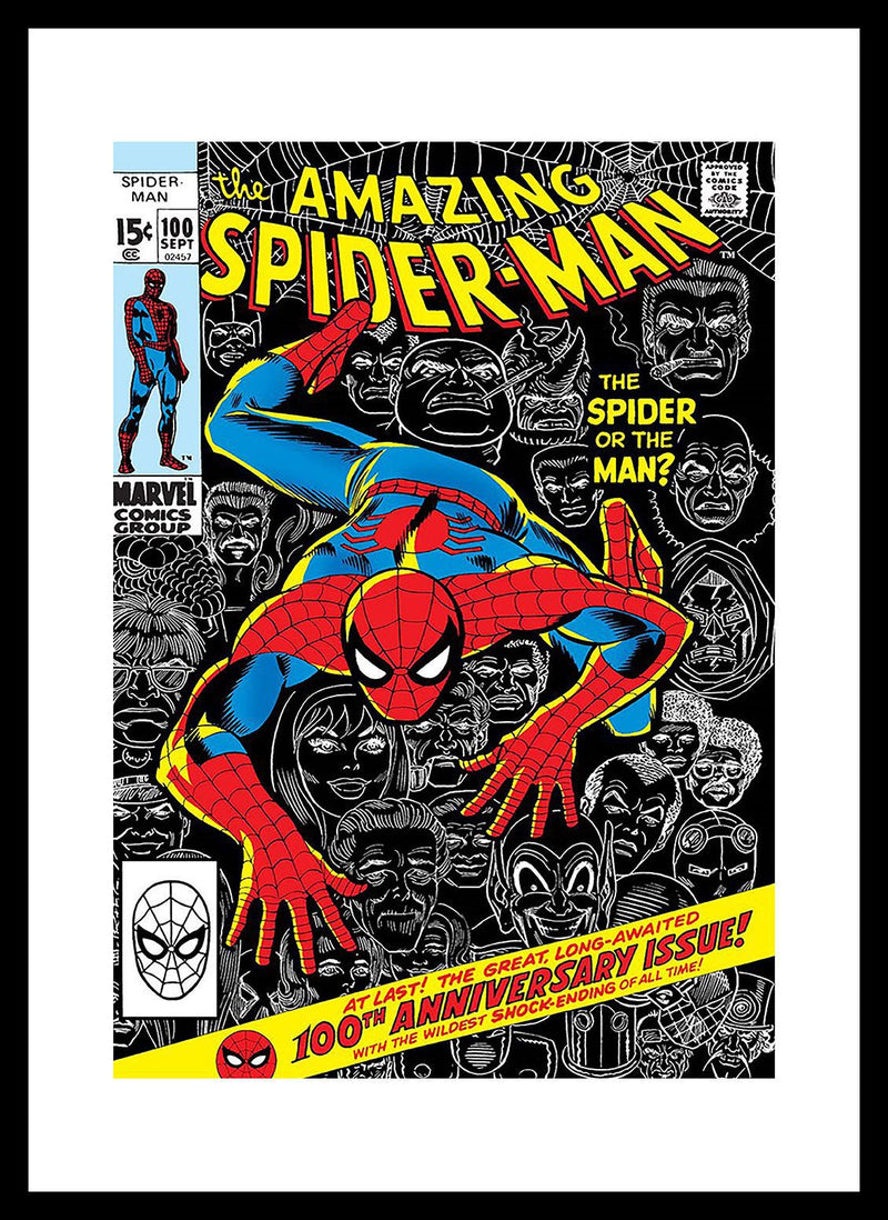 Spiderman 2 Framed Print