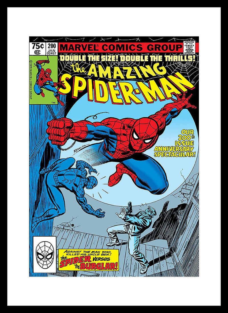 Spiderman 3 Framed Print
