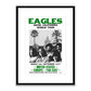 The Eagles Framed Print - EA002