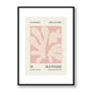 Matisse 0073 Framed Print