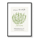 Matisse 0084 Framed Print