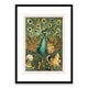 Peacock Framed Print