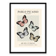 Picasso The Butterfly Framed Print