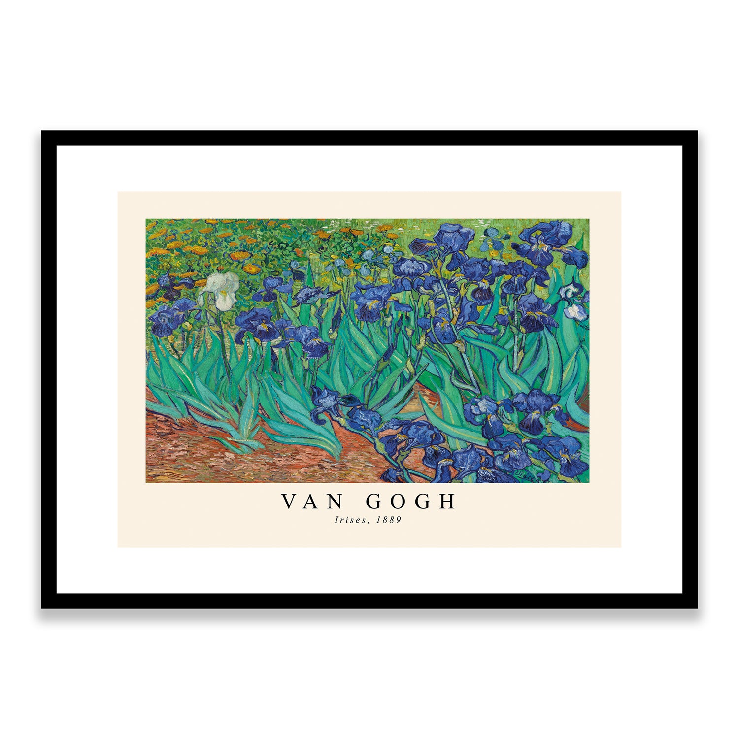 Van Gogh Irises 1889 Framed Print