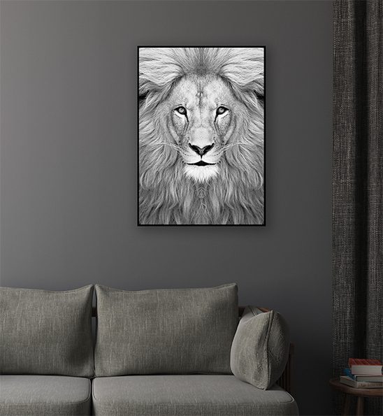 B+W King Framed Canvas 60×90 | Hardings Furniture